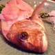 Illustration for article titled No, This Fish Didnt Come Back to Life as a Woman Was Eating It